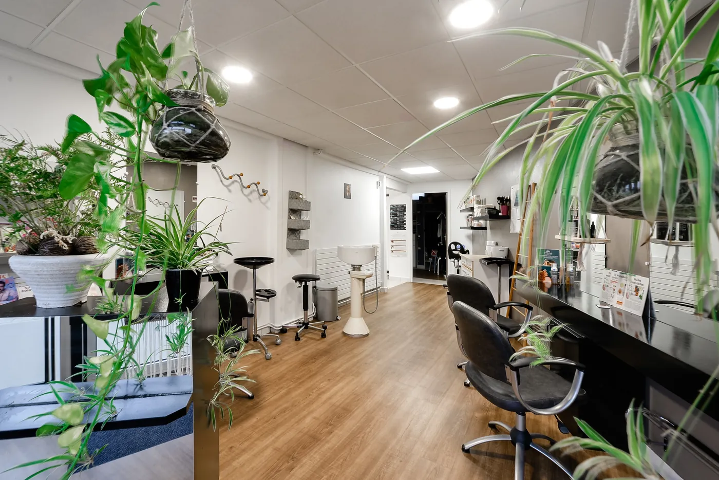 Le salon Amarante entre les plantes vertes suspendues